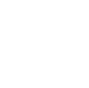Team Slayen logo