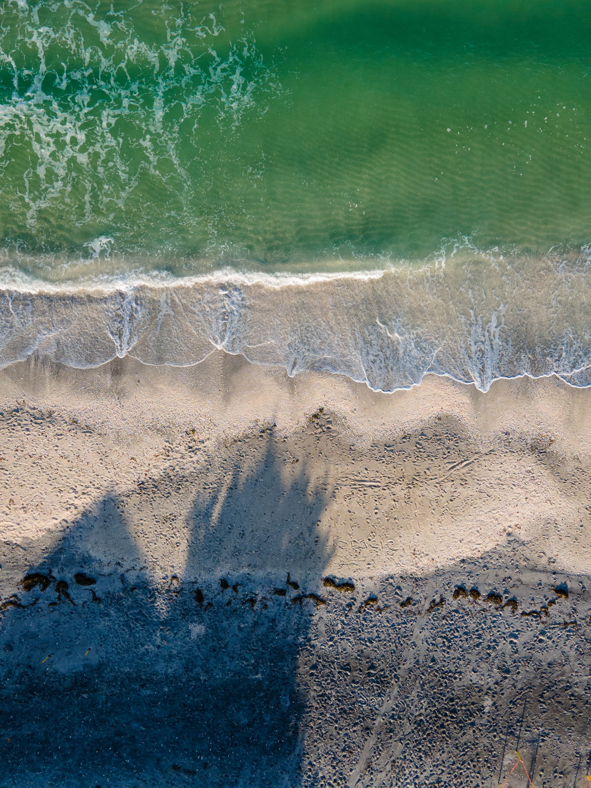 Atlantic dune with sea oats beside a limestone oceanfront residence at sunrise