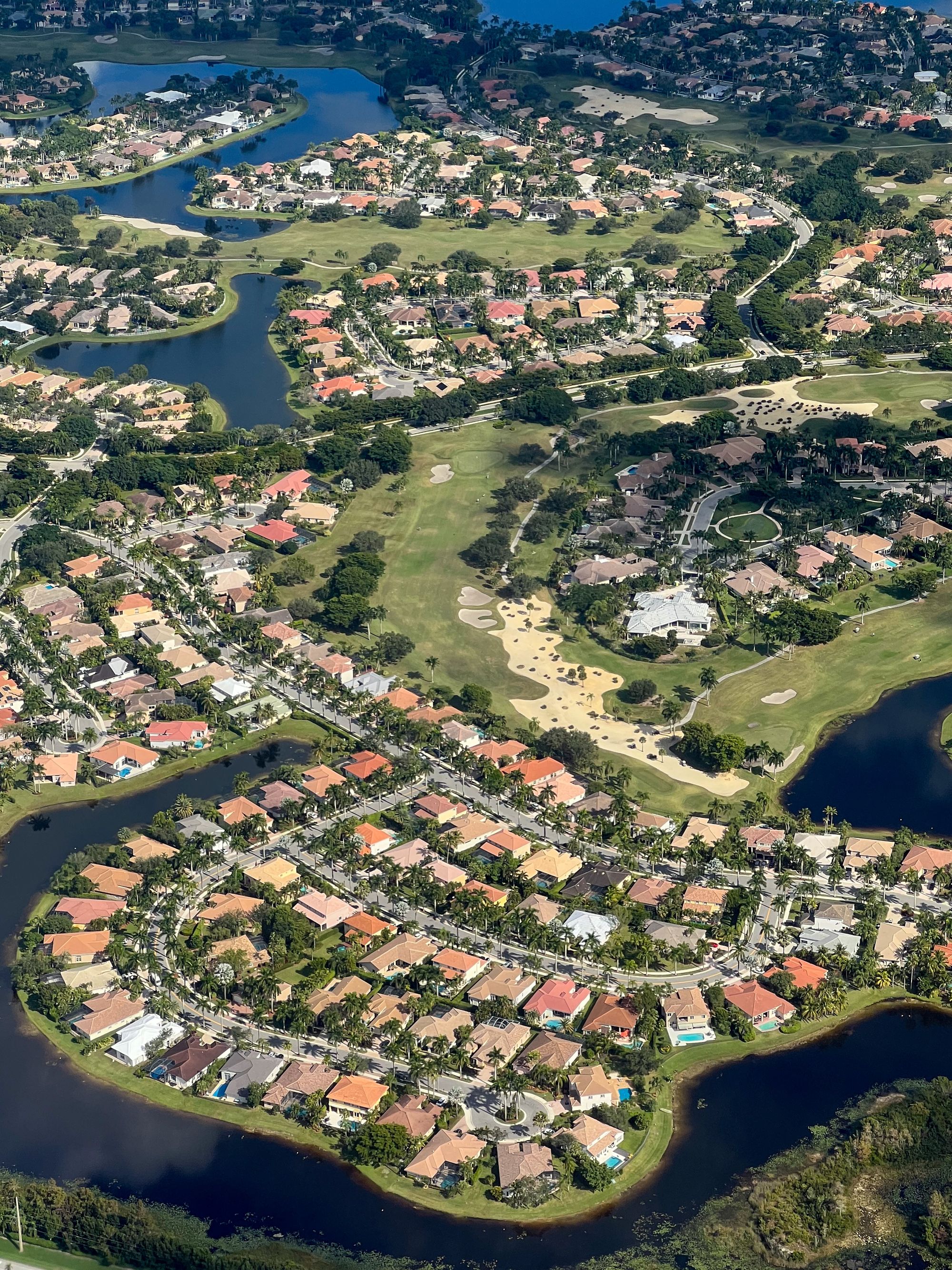 Quiet residential street with shade oaks, sidewalks and white family homes