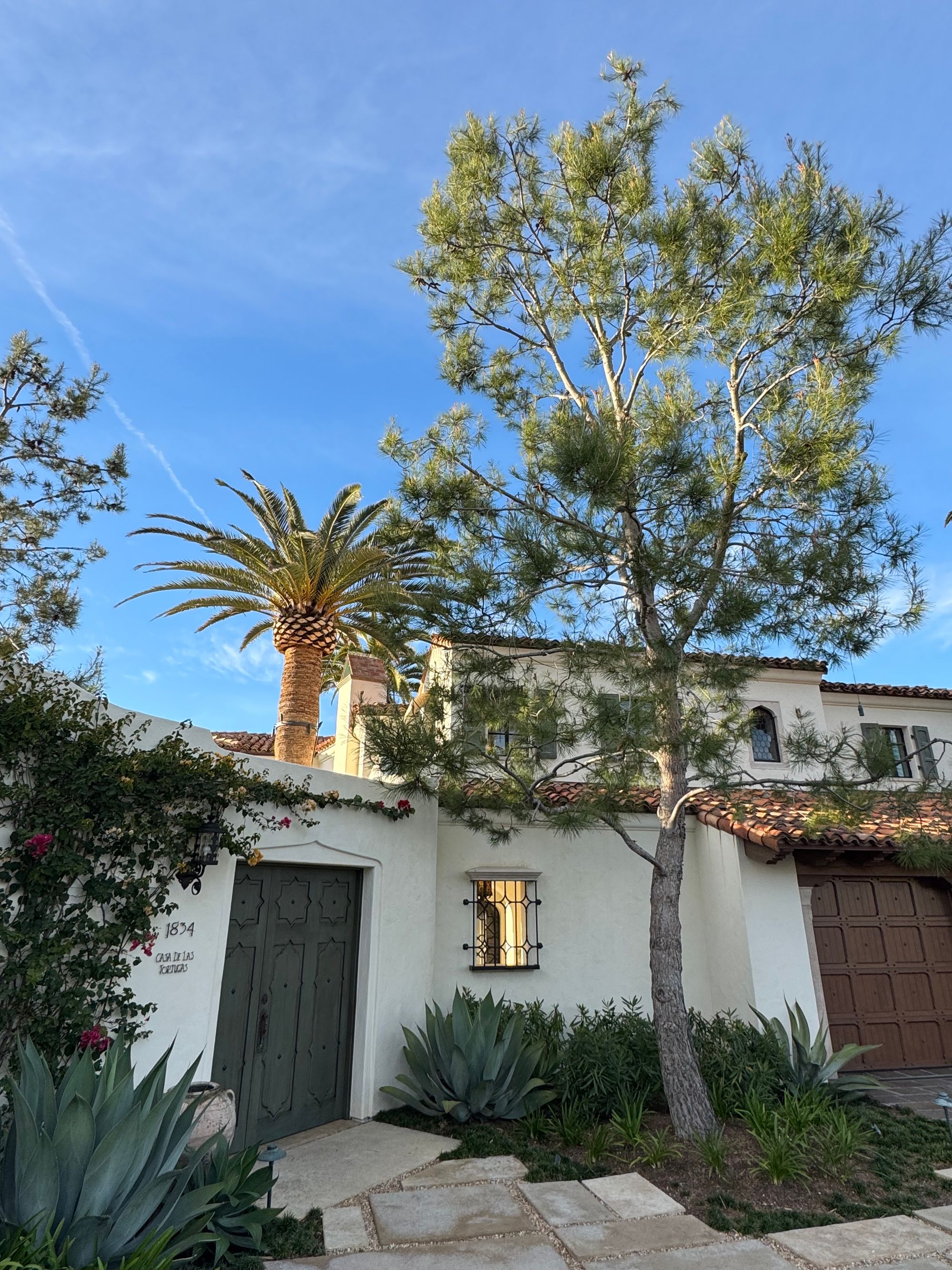 Historic Mediterranean revival estate with an arched loggia beneath a banyan tree