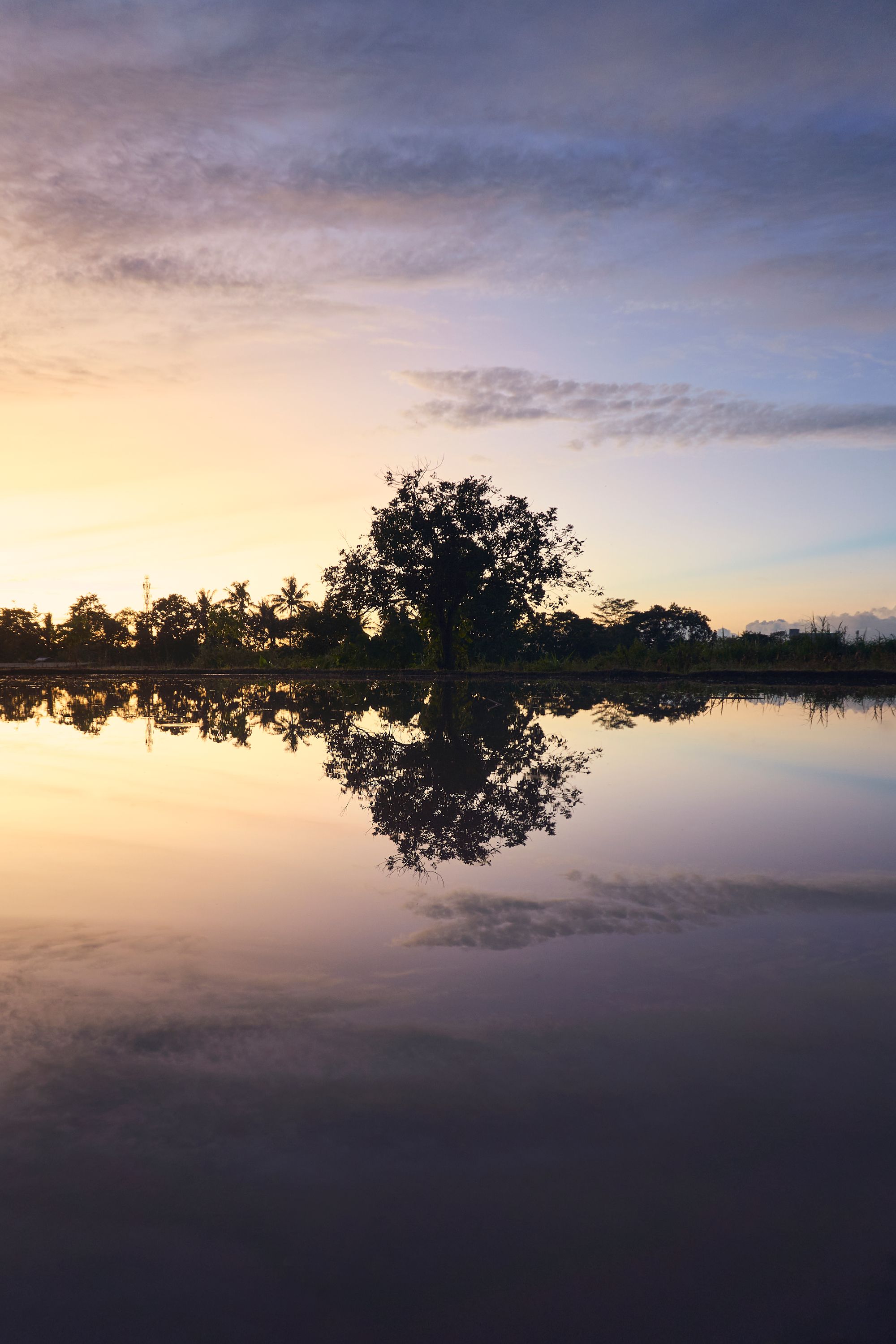 Still pool edge beside a limestone terrace at sunrise with a single palm shadow